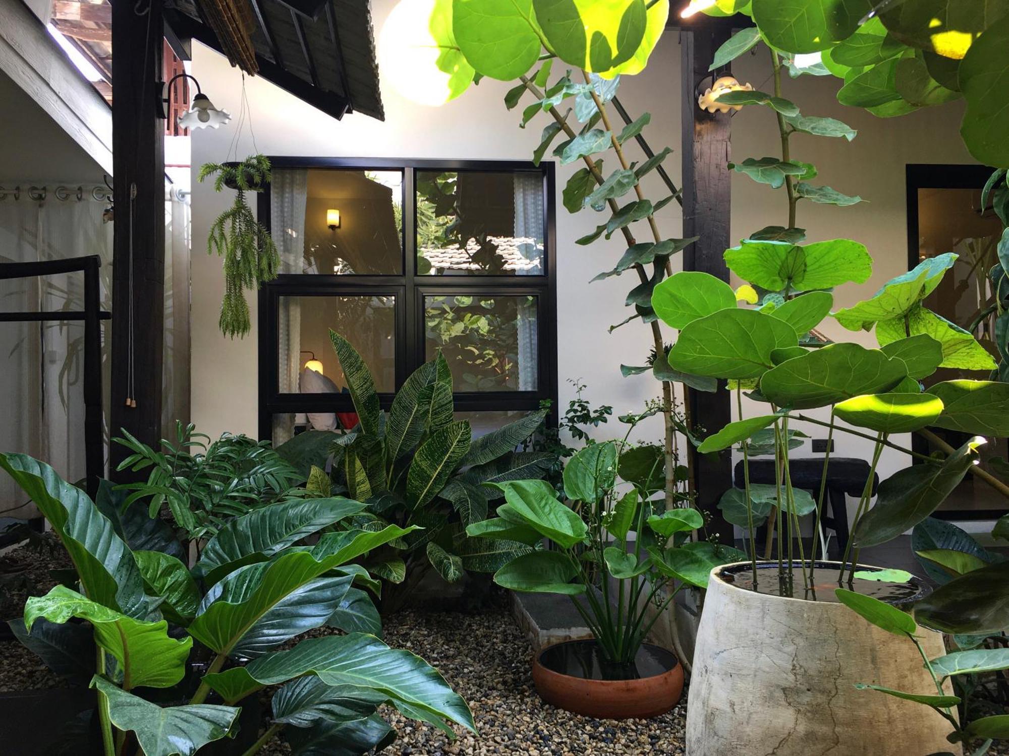 Su Kho Rom Always Home ศุโขรมย์ - Adults Only Chiang Mai Buitenkant foto